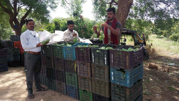 ತೋಟಗಾರಿಕೆ ಇಲಾಖೆ ಅಧಿಕಾರಿಗಳ ಮೆಚ್ಚುಗೆ