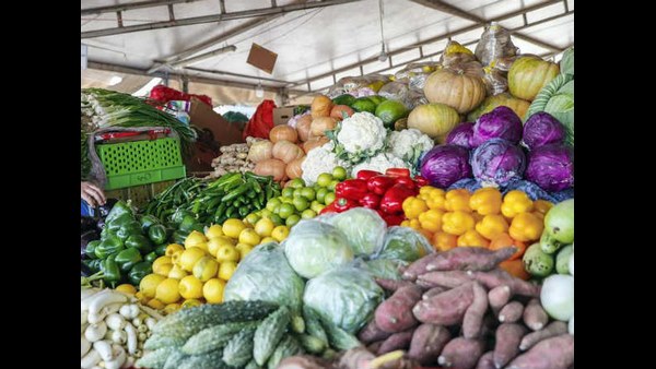 10 ಬಗೆಯ ತರಕಾರಿಗೆ ಬೆಳೆಗಾರರಿಗೆ ಪ್ಯಾಕೇಜ್ 