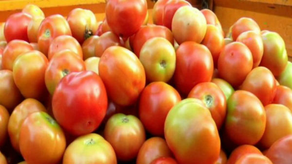  ಚಿಂತಾಕ್ರಾಂತರಾಗಿರುವ ರೈತರು