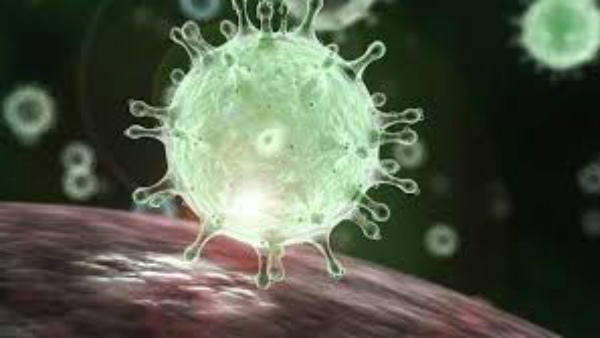 ಜೂನ್ ಮಾಸಾಂತ್ಯದಿಂದ ವೈರಸ್ ಪ್ರಭಾವ ಕಮ್ಮಿ 