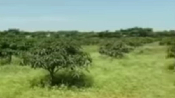 ಸಾವಯವ, ಸಹಜ ಕೃಷಿಯತ್ತ ಆಸಕ್ತಿ