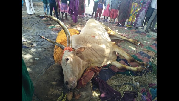 ಜೊತೆಗಿದ್ದವರಿಗೆ ಭಯದ ಜೊತೆಗೆ ಅಚ್ಚರಿಯಾಗಿತ್ತು