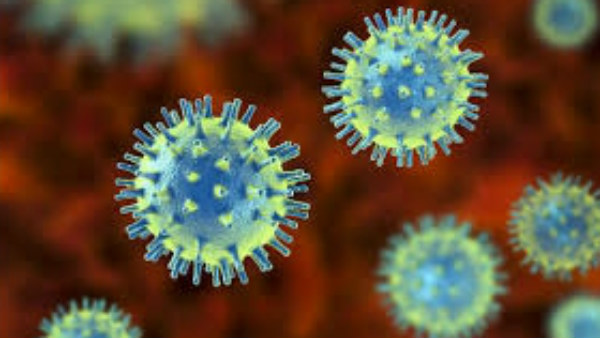 ಬಿಬಿಎಂಪಿ 