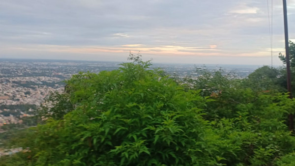 ಬೋಳಾಗಿದ್ದ ವನಸಿರಿ ಹಸಿರಾಯಿತು