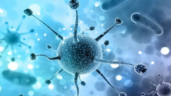 ಒಟ್ಟಿಗೆ ವಾಸಿಸುವ ಕುಟುಂಬ 