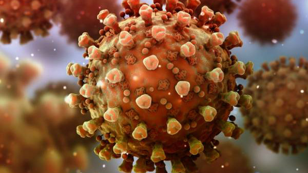 ಸಾರ್ವಜನಿಕರ ಆರೋಗ್ಯ ಕ್ರಮ ಪರಿಣಾಮಕಾರಿ 