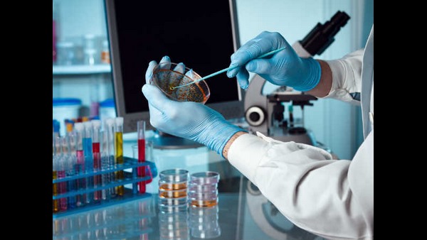  ಕಲಬುರಗಿಯಲ್ಲಿ ಸೋಂಕಿತರ ಸಂಖ್ಯೆ 896 