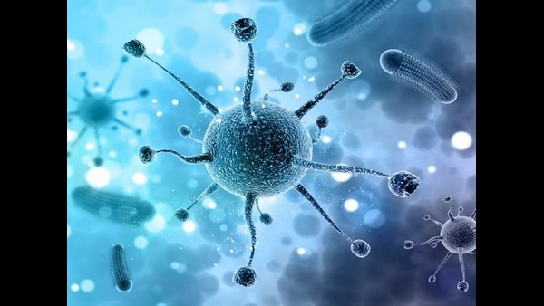  ಉಡುಪಿಯಲ್ಲಿ 1026 ಪಾಸಿಟಿವ್ ಪ್ರಕರಣ 