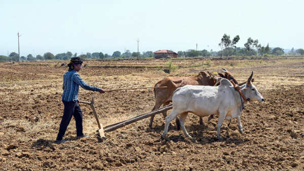 ಬ್ಯಾಂಕ್ ಖಾತೆಗೆ ಹಣ