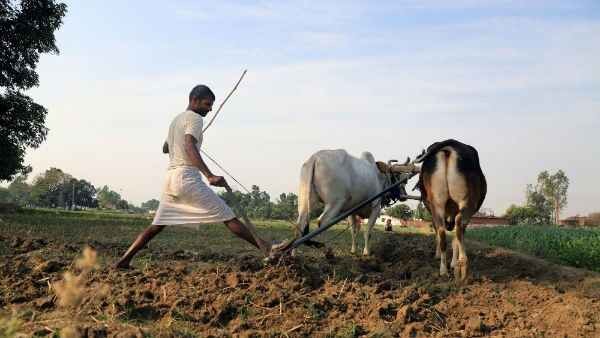 ಹಿಡುವಳಿಯ ಮೇಲೆ ಮಿತಿ