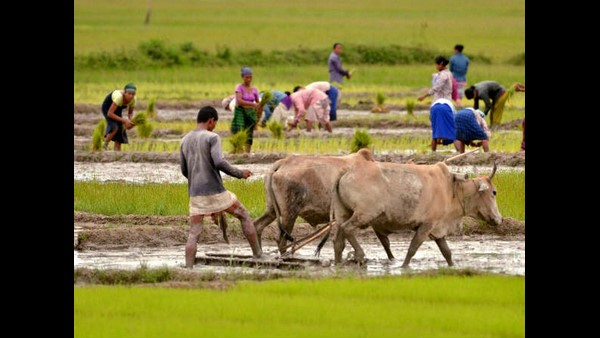 ಹಿಡುವಳಿ ಮತ್ತು ಕುಟುಂಬ