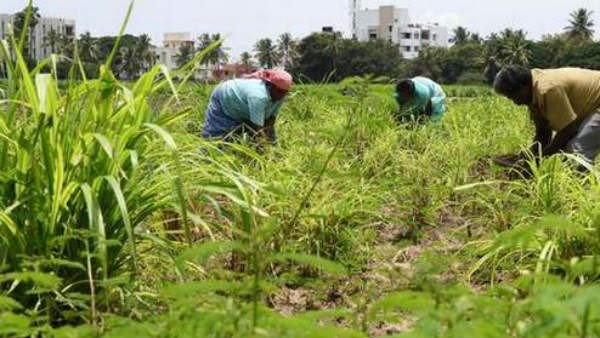 ಹಿಡುವಳಿಯ ಮಿತಿ ಹೆಚ್ಚಳಕ್ಕೆ ಶಿಫಾರಸ್ಸು