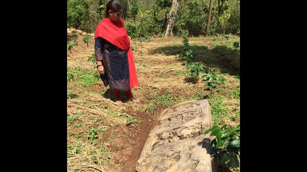  Inscriptions Dating Back To Kongalwas Period Found In kodagu