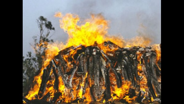 ಅಧಿಕಾರಿ ಮತ್ತು ವೈದ್ಯರ ತಂಡದ ಮಧ್ಯಸ್ಥಿಕೆಯಲ್ಲಿ ಅಂತ್ಯಕ್ರಿಯೆ 