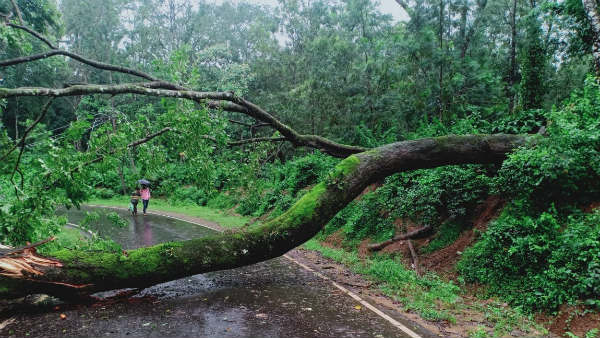 ಜನರಲ್ಲಿ ಅನಾಹುತದ ಭೀತಿ ಜನರಲ್ಲಿ ಅನಾಹುತದ ಭೀತಿ