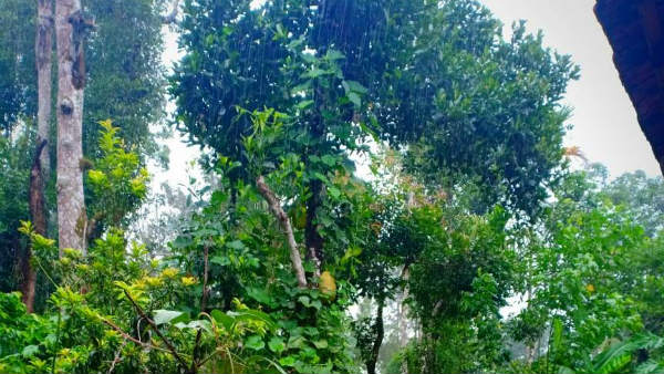 2018ರ ದುರಂತದಿಂದ ಹೊರಬಂದಿಲ್ಲ 2018ರ ದುರಂತದಿಂದ ಹೊರಬಂದಿಲ್ಲ