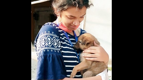 ನಾಯಿಗಳು ಯಾರಿಗೆ ಕೇಳಬೇಕು? 