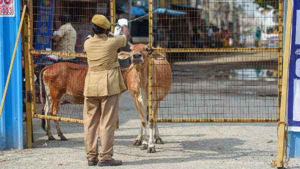 ಹೈದರಾಬಾದ್ ನಗರ