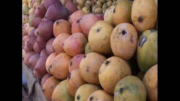 ನೈಸರ್ಗಿಕವಾಗಿ ಮಾಗದ ಹಣ್ಣನ್ನು ಮಾರಾಟ ಮಾಡಿದರೆ ದಂಡ
