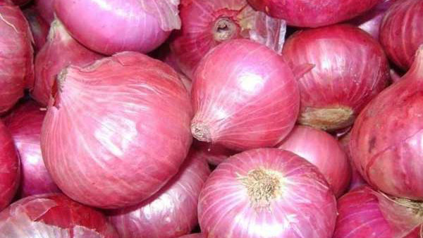  ಸಾಲ ಮಾಡಿ ಬೆಳೆದ ಬೆಳೆಯೂ ಮಣ್ಣುಪಾಲು
