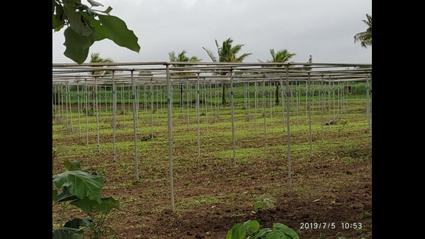 ಕೆಲವರ ಕೈಯಲ್ಲಿ ಕೃಷಿ ಅಪಾಯಕಾರಿ