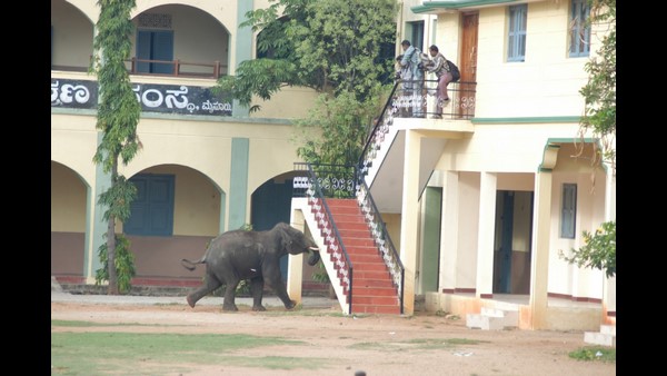 ವಿವಿಧ ದೃಶ್ಯಗಳು ಕ್ಯಾಮರಾದಲ್ಲಿ ಸೆರೆ