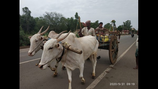 4 ಕೋಟಿ ಜನರು ಕೃಷಿಯಲ್ಲಿ ನೇರ ಭಾಗಿ