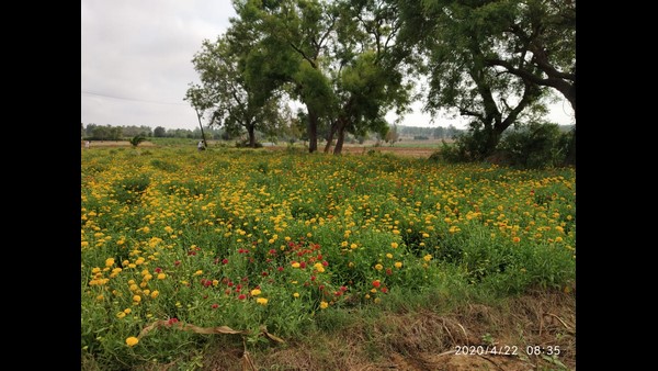 ನಾಮಕಾವಸ್ತೆ ಯೋಜನೆ