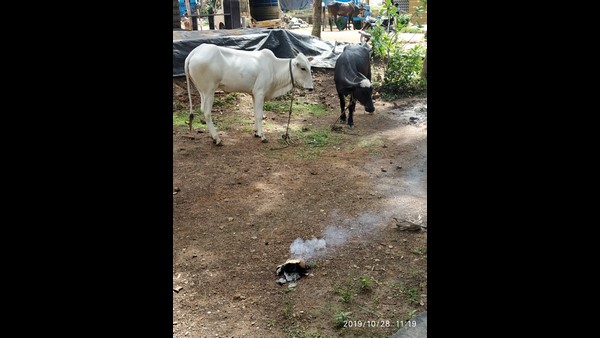 ಕೈಗಾರಿಕೆ ಮುಂಚೂಣಿಯಲ್ಲಿದೆ