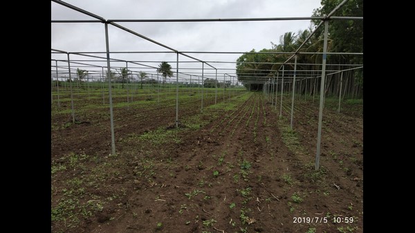 ಕೃಷಿ ವಲಯ ನಾಶ 