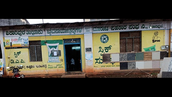 JOB NEWS: Invitation To Apply For A vacancy In The TAPCMS Office In Shikaripura