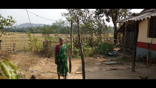 ಸೋಲಾರ್ ಬೇಲಿ ಹಾಕಿ, ಸ್ವತಂತ್ರ ಕಸಿದುಕೊಂಡಿದೆ ಸೋಲಾರ್ ಬೇಲಿ ಹಾಕಿ, ಸ್ವತಂತ್ರ ಕಸಿದುಕೊಂಡಿದೆ