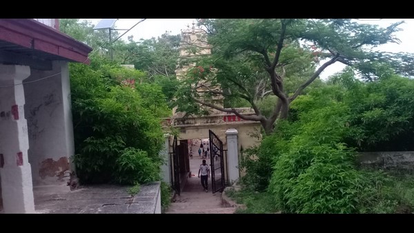 ಮಳೆಗೆ ಹಸಿರನ್ನೊದ್ದು ಸುಂದರವಾಗಿ ಕಂಗೊಳಿಸುತ್ತಿದೆ