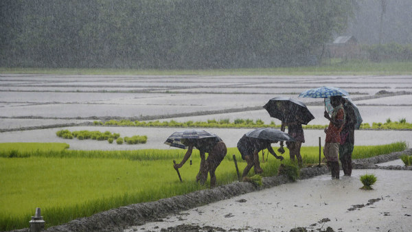 ಕನಾಟಕದಲ್ಲಿ ಎಲ್ಲೆಲ್ಲಿ ಮಳೆ 
