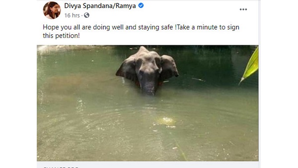 Former MP Ramya alias Divya Spandana Facebook account is activated