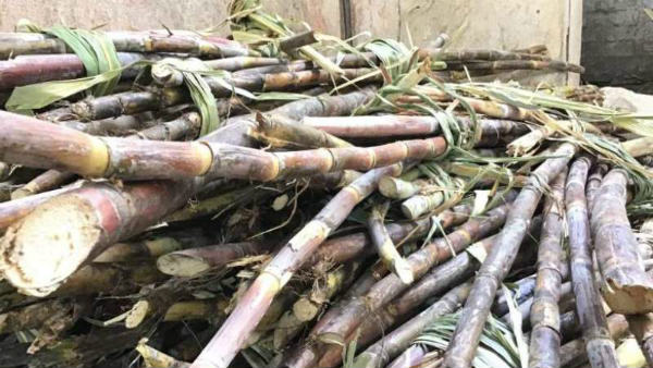  ವಿರೋಧದಿಂದ ಉನ್ನತಮಟ್ಟದ ಸಭೆಗಳು ವಿಫಲ