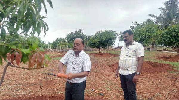 ಉತ್ತಮ ಫಸಲು ಪಡೆಯಲು ಸಲಹೆ