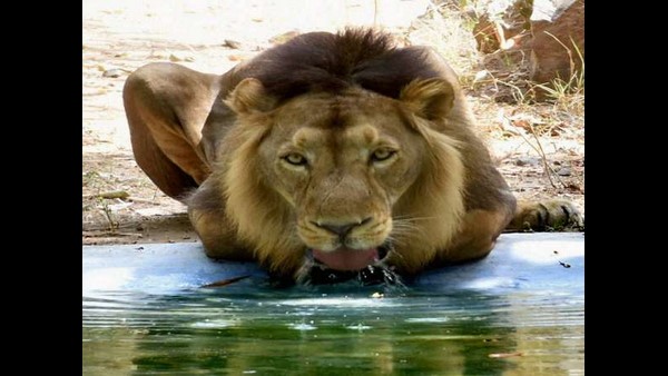 ಮಾರ್ಗಸೂಚಿ ಶೀಘ್ರ ಬಿಡುಗಡೆ 