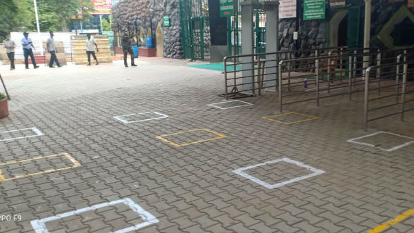 Mysuru Zoo Will Open From June 8 With Guidelines