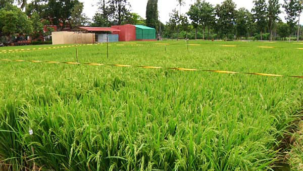 ಅವುಗಳನ್ನು ಕೊಳ್ಳುವ ಗ್ರಾಹಕರು ನೀವೇ