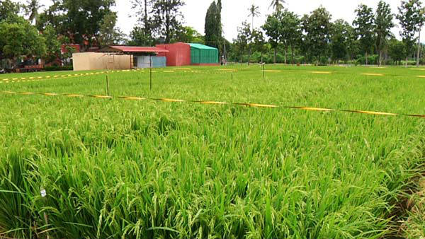 ರೈತರನ್ನು ಬೀದಿಗೆ ತಳ್ಳಿದ ಸರ್ಕಾರ 