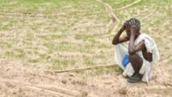 ಭೂ ಸುಧಾರಣೆ 