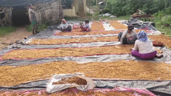 ಕಾರ್ಮಿಕರ ಜತೆಗೂಡಿ ನಾನೂ ಕೆಲಸ ಮಾಡುತ್ತೇನೆ