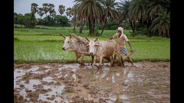  ಗೊಂದಲಕ್ಕೆ ಸಿಲುಕಿಸುತ್ತಿರುವ ಉತ್ಪನ್ನಗಳು
