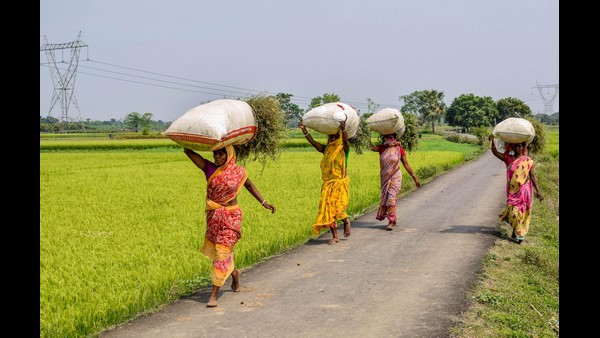  ಮೇವಿಗೆ ಲಕ್ಷಗಟ್ಟಲೆ ಹಣ ವ್ಯಯಿಸಬೇಕು