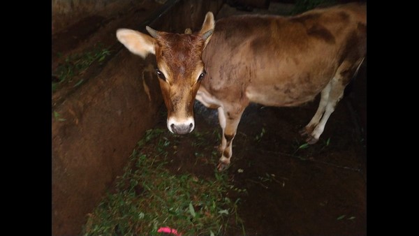  ಸಮುದ್ರಕ್ಕೆ ಇಳಿದರೆ ಮಾತ್ರ ಅದರ ಆಳ ಅಗಲ ಗೊತ್ತಾಗುವುದು