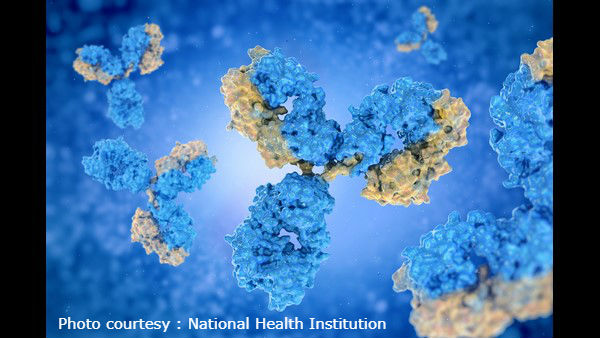 ಮನುಷ್ಯನ ದೇಹದಲ್ಲಿ ಇರುವ ಆಂಟಿಬಾಡಿ ಎಂದರೇನು? 