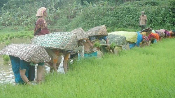 ಸೈನಿಕರು ರಜೆಯಲ್ಲಿ ಬರುತ್ತಿದ್ದರು
