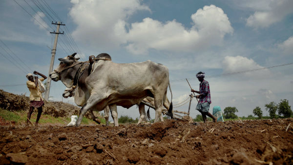 ಕೃಷಿ ಚಟುವಟಿಕೆಗಳಿಗೆ ವಿನಾಯಿತಿ