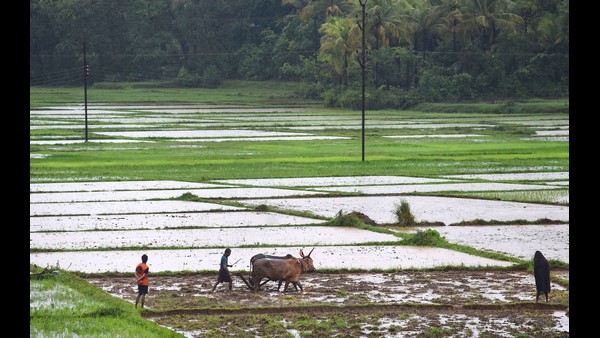  ಯಾವ ಶರತ್ತೂ ಇಲ್ಲದೆ ಹೀಗೆ ಭೂಮಿ ಕೊಡಬಹುದಾ?